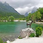 Blazic Апартаменты