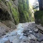 Blazic Апартаменты Краньска Гора