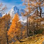 Апартаменты Blazic Краньска Гора