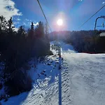 Апартаменты Blazic