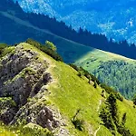 Апартаменты Blazic Краньска Гора