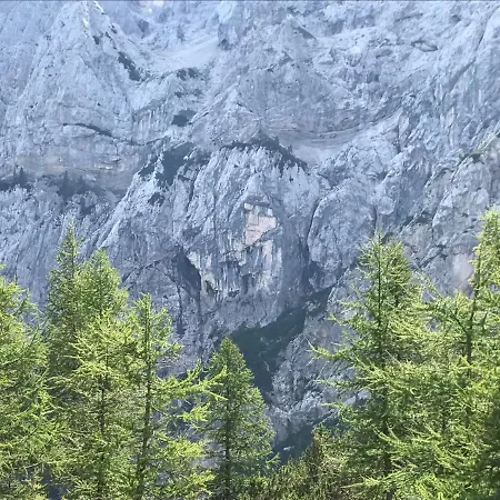 Appartement Blazic *