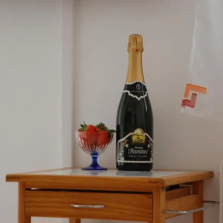 Apartment Blazic *