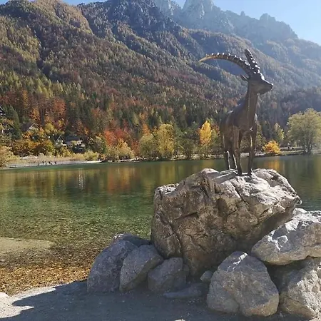 Lägenhet Blazic Kranjska Gora