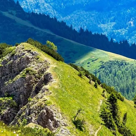 Apartmán Blazic Kranjska Gora