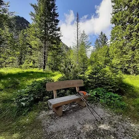 Appartement Blazic *